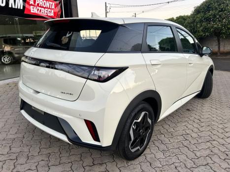 BYD Dolphin 44,9 KW EL�TRICO GS, Foto 5