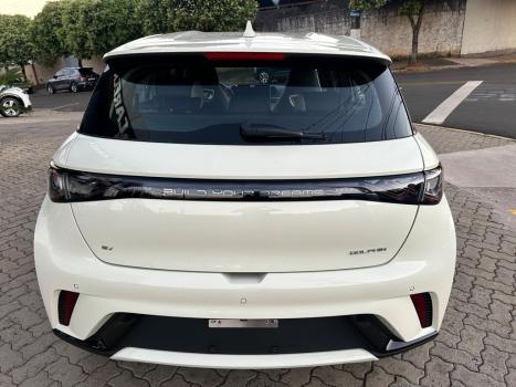 BYD Dolphin 44,9 KW EL�TRICO GS, Foto 6