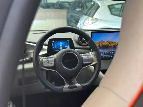 BYD Dolphin 44,9 KW ELÉTRICO, Foto 7