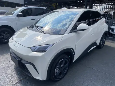 BYD Dolphin Mini 38 KW ELTRICO, Foto 1