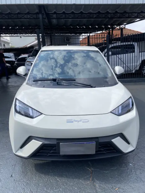 BYD Dolphin Mini 38 KW ELTRICO, Foto 3