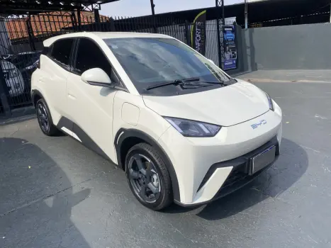 BYD Dolphin Mini 38 KW ELTRICO, Foto 8