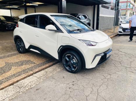 BYD Dolphin Mini 38 KW EL�TRICO, Foto 2