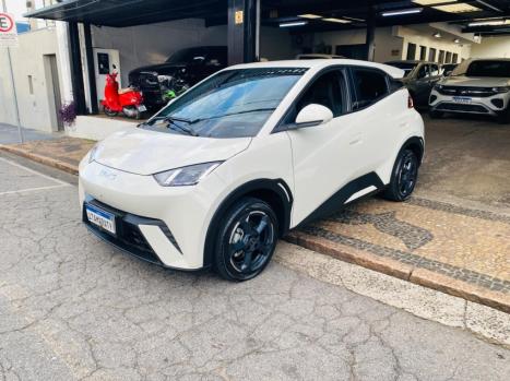 BYD Dolphin Mini 38 KW EL�TRICO, Foto 3