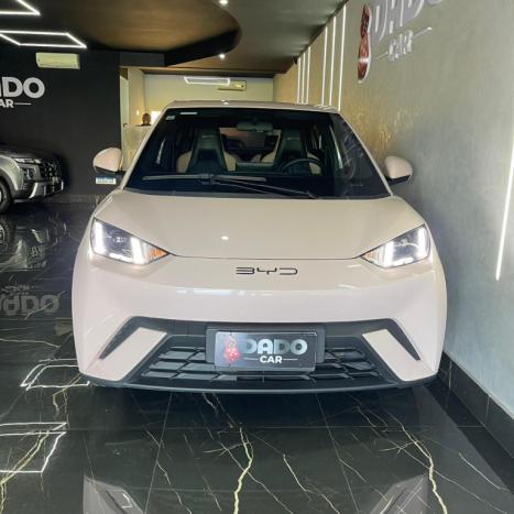 BYD Dolphin Mini 38 KW EL�TRICO, Foto 2