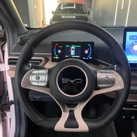 BYD Dolphin Mini 38 KW EL�TRICO, Foto 8