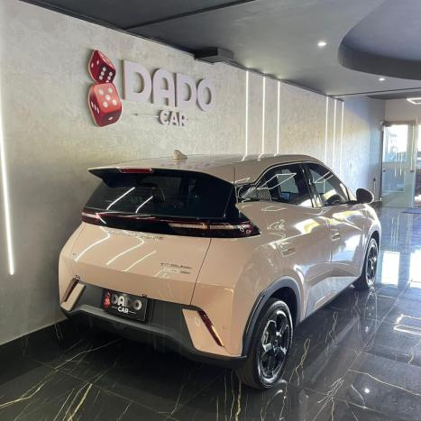 BYD Dolphin Mini 38 KW EL�TRICO, Foto 15