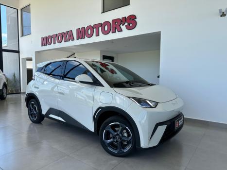 BYD Dolphin Mini 38 KW EL�TRICO, Foto 1