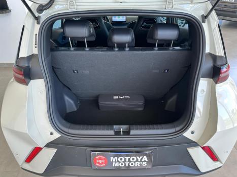 BYD Dolphin Mini 38 KW EL�TRICO, Foto 10