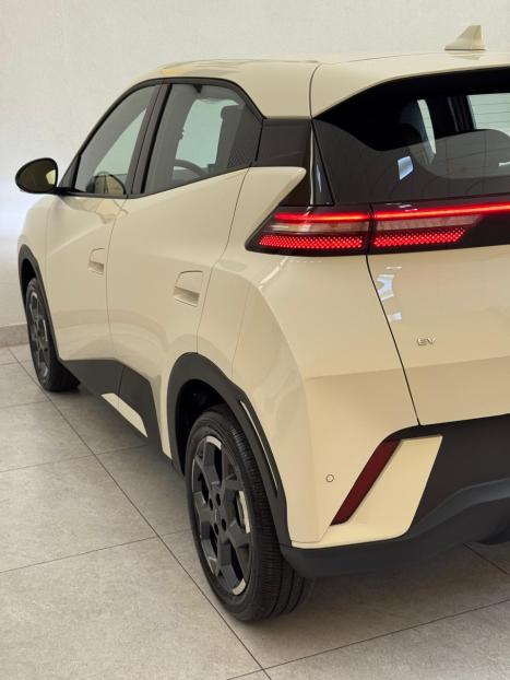 BYD Dolphin Mini 38 KW EL�TRICO, Foto 12