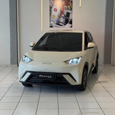 BYD Dolphin Mini 38 KW EL�TRICO, Foto 1