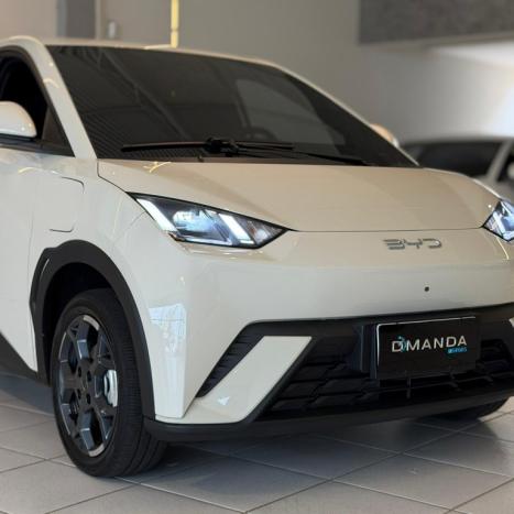 BYD Dolphin Mini 38 KW EL�TRICO, Foto 2