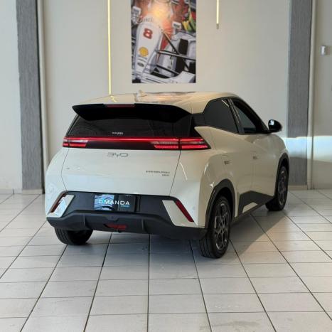 BYD Dolphin Mini 38 KW EL�TRICO, Foto 5