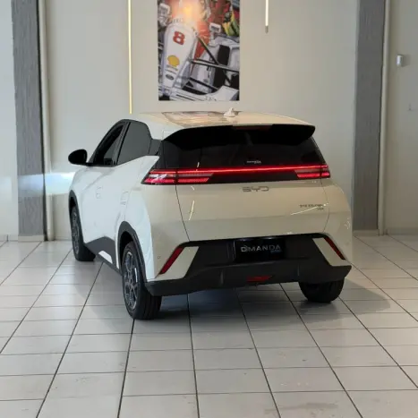 BYD Dolphin Mini 38 KW EL�TRICO, Foto 8