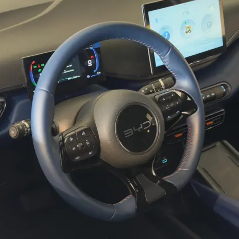 BYD Dolphin Mini 38 KW EL�TRICO, Foto 9