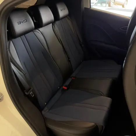 BYD Dolphin Mini 38 KW EL�TRICO, Foto 18