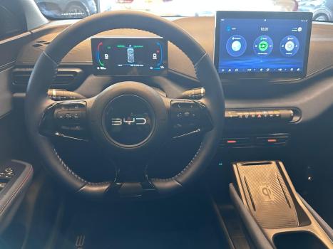 BYD Dolphin Mini 38 KW EL�TRICO, Foto 10