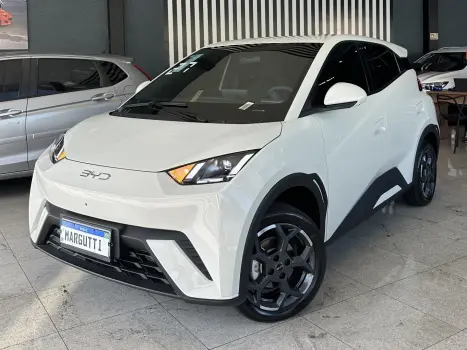 BYD Dolphin Mini 38 KW EL�TRICO, Foto 1