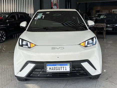 BYD Dolphin Mini 38 KW EL�TRICO, Foto 2