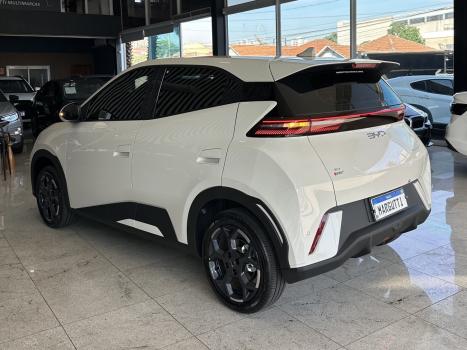 BYD Dolphin Mini 38 KW EL�TRICO, Foto 7