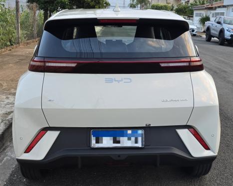 BYD Dolphin Mini 38 KW EL�TRICO GS, Foto 14