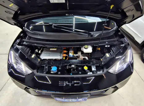 BYD Dolphin Mini 38 KW EL�TRICO GS, Foto 9