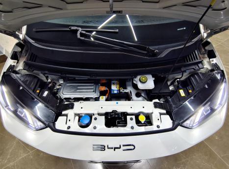 BYD Dolphin Mini 38 KW EL�TRICO GS, Foto 9