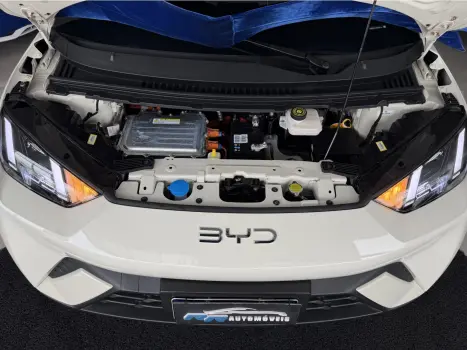 BYD Dolphin Mini 38 KW EL�TRICO, Foto 14