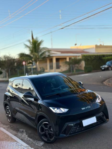 BYD Dolphin Mini 38 KW EL�TRICO GS, Foto 2