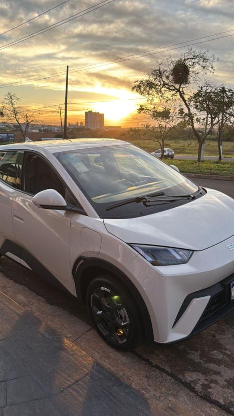 BYD Dolphin Mini 38 KW EL�TRICO GS, Foto 1