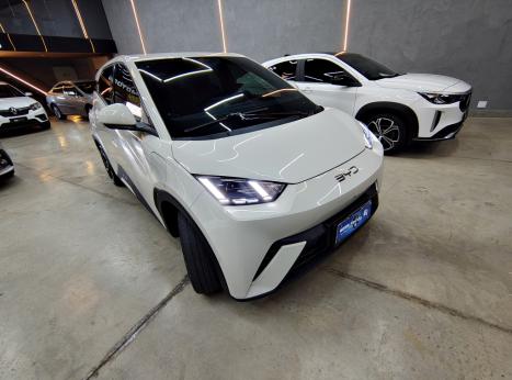 BYD Dolphin Mini 38 KW EL�TRICO 5L, Foto 9