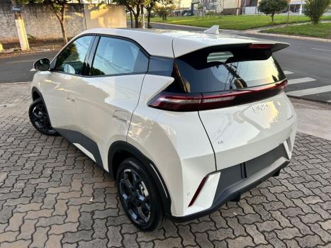 BYD Dolphin Mini 38 KW EL�TRICO GS, Foto 4