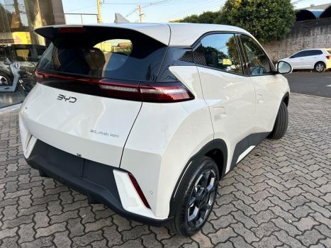 BYD Dolphin Mini 38 KW EL�TRICO GS, Foto 6