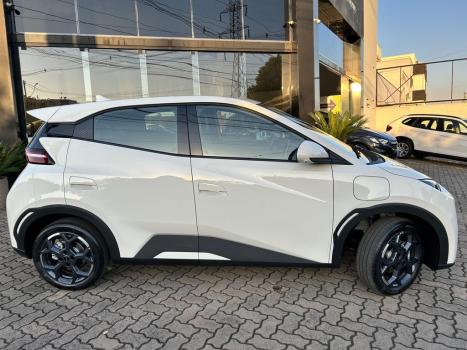 BYD Dolphin Mini 38 KW EL�TRICO GS, Foto 7