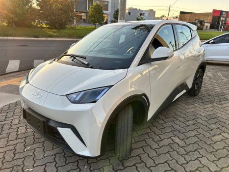 BYD Dolphin Mini 38 KW EL�TRICO GS, Foto 12