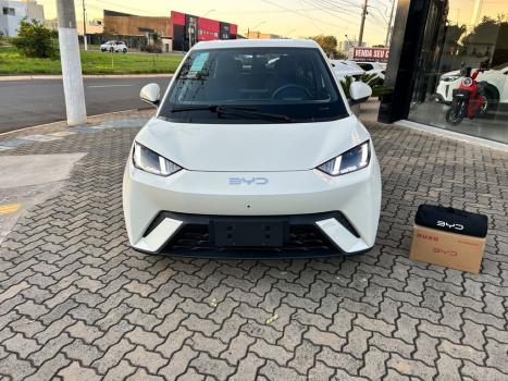 BYD Dolphin Mini 38 KW EL�TRICO GS, Foto 16
