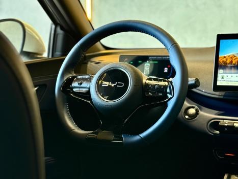 BYD Dolphin Mini 38 KW EL�TRICO, Foto 23
