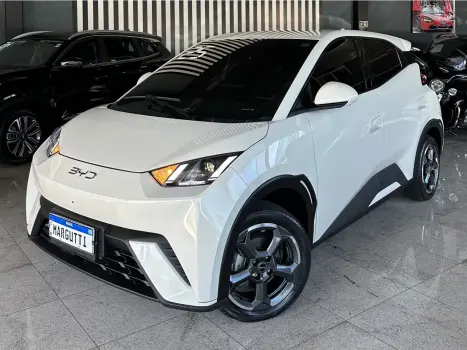 BYD Dolphin Mini 38 KW EL�TRICO, Foto 1