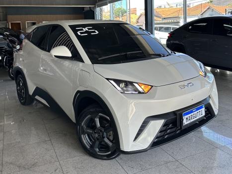 BYD Dolphin Mini 38 KW EL�TRICO, Foto 3