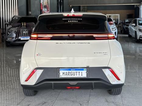 BYD Dolphin Mini 38 KW EL�TRICO, Foto 6
