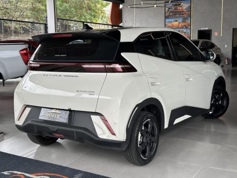 BYD Dolphin Mini 38 KW EL�TRICO, Foto 12