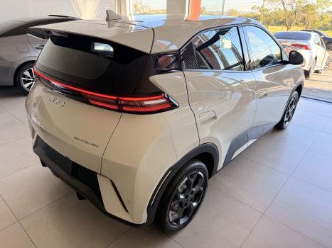 BYD Dolphin Mini 38 KW EL�TRICO GS, Foto 2