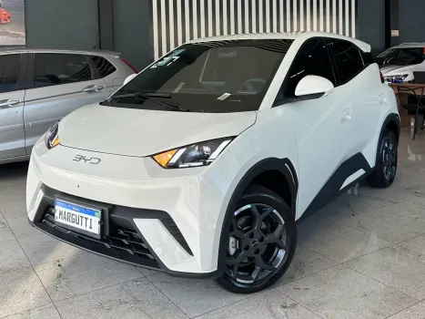 BYD Dolphin Mini 38 KW EL�TRICO, Foto 1