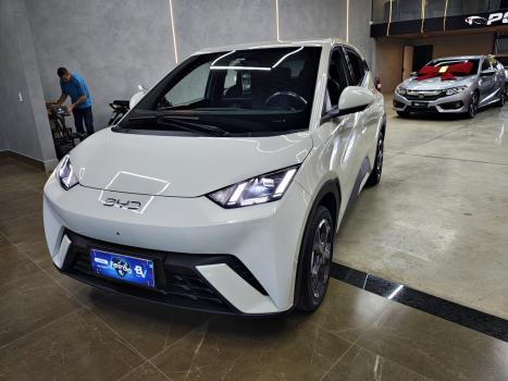 BYD Dolphin Mini 38 KW EL�TRICO GS, Foto 1