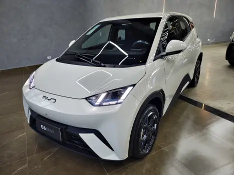 BYD Dolphin Mini 38 KW EL�TRICO GS, Foto 1