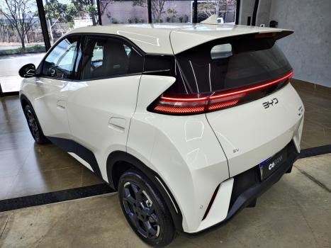 BYD Dolphin Mini 38 KW EL�TRICO GS, Foto 4
