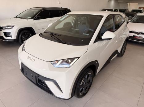 BYD Dolphin Mini 38 KW EL�TRICO GS, Foto 1