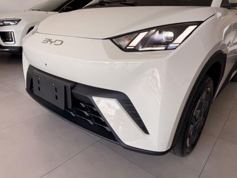 BYD Dolphin Mini 38 KW EL�TRICO GS, Foto 12