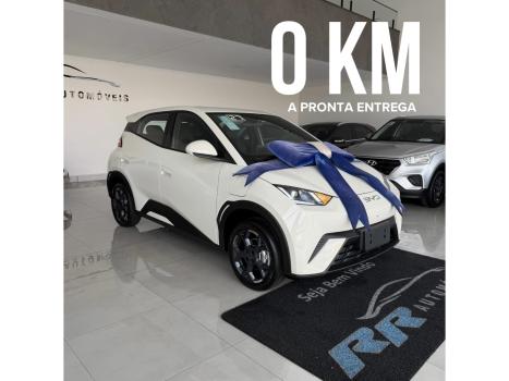 BYD Dolphin Mini 38 KW EL�TRICO GS, Foto 1