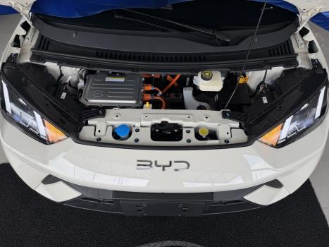 BYD Dolphin Mini 38 KW EL�TRICO GS, Foto 16